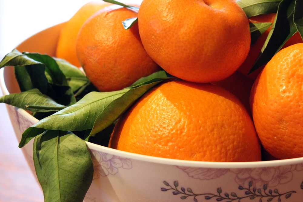 Zitrusfrüchte direkt vom Bauern, Baumpate werden bei naranjas del carmen